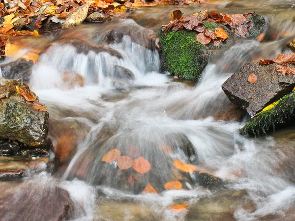 Stroom in het najaar — Stockfoto