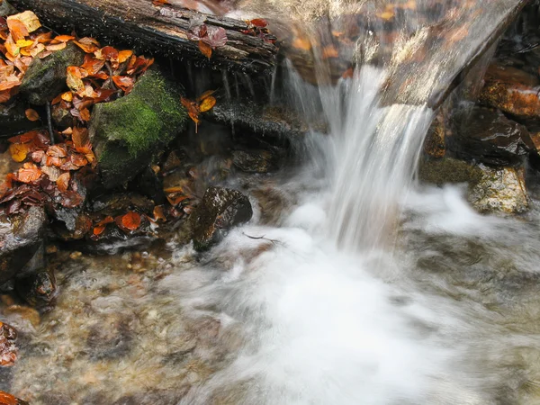 Stroom in het najaar — Stockfoto