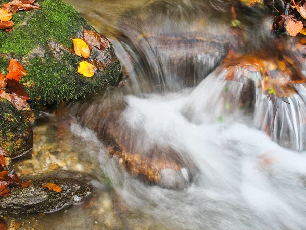 Stream im Herbst — Stockfoto