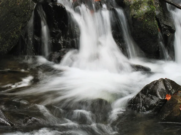 Sonbaharda Dere — Stok fotoğraf