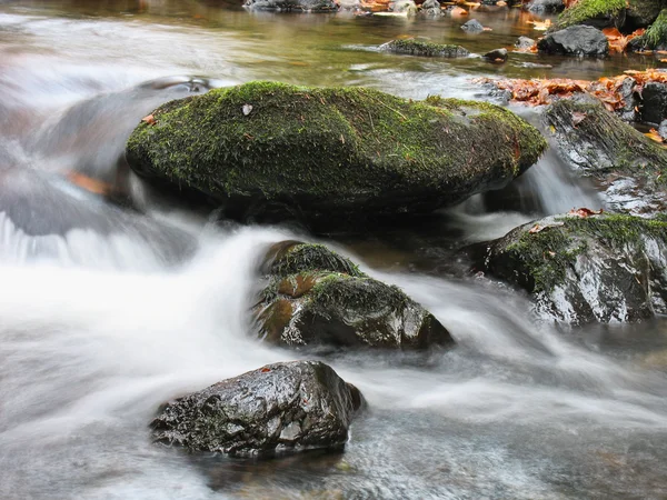 Stroom in het najaar — Stockfoto