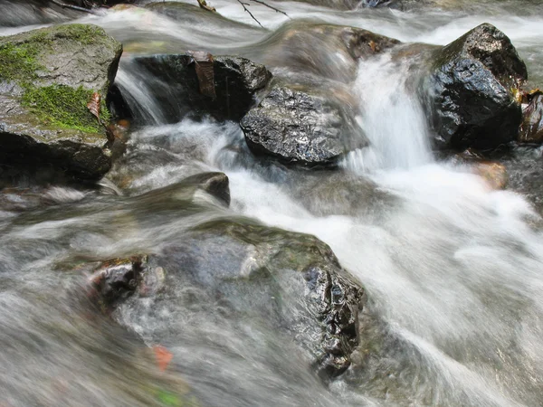 Gebirgsbach — Stockfoto