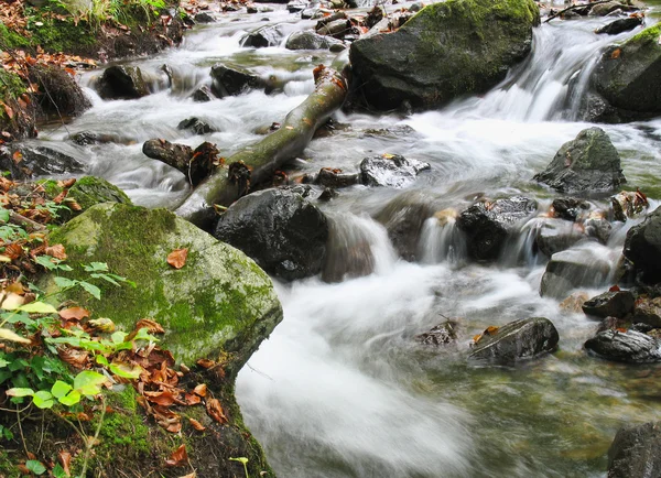 Sonbaharda Dere — Stok fotoğraf