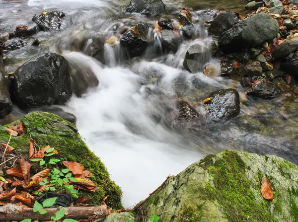 Stream in autunno — Foto Stock