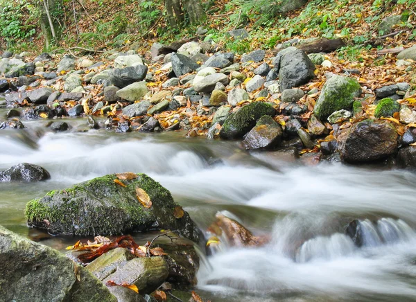 Stream im Herbst — Stockfoto