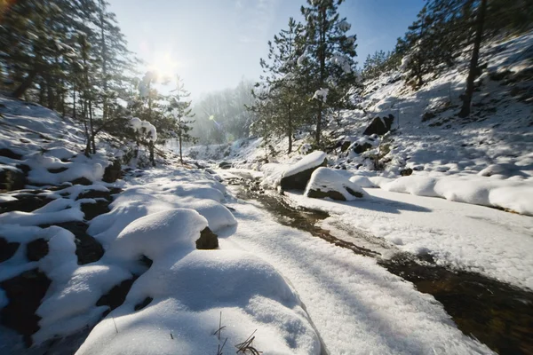冬季风景与流 — 图库照片