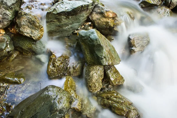 Rocas del arroyo — Foto de Stock