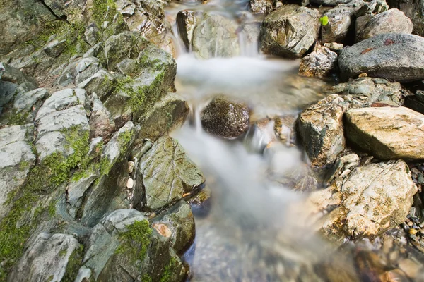 Rocce del torrente — Foto Stock