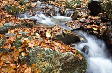 derin orman şelale sonbahar
