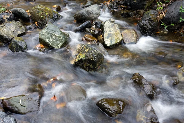 Djupa skogen vattenfall ström — Stockfoto