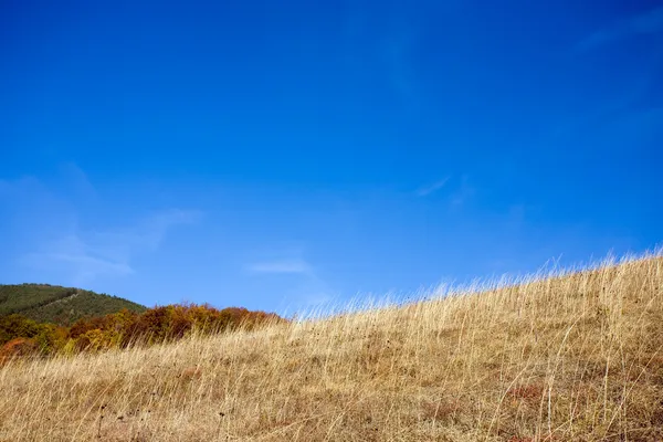 Vista sulle cime delle montagne — Foto Stock