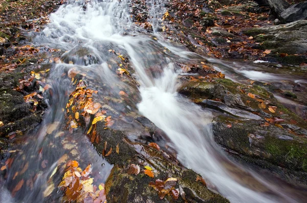 Vattenfall i skogen — Stockfoto