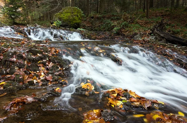 Waterfall in forest — Stock Photo, Image