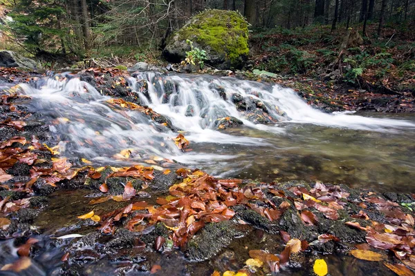 Wasserfall im Wald — Stockfoto