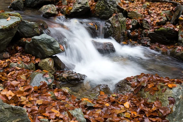 Tiefer Wald Wasserfall Herbst — Stockfoto