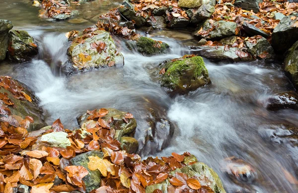 Diepe woud waterval herfst — Stockfoto