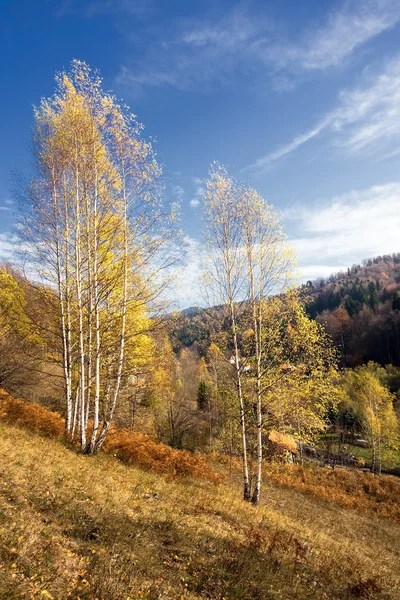 Beau paysage d'automne dans les montagnes — Photo