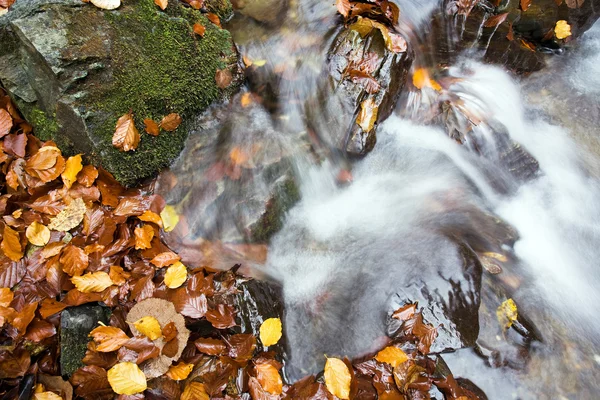 Floresta profunda Cachoeira Outono — Fotografia de Stock