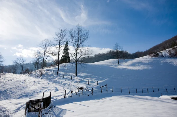 Winterlandschap met sneeuw — Stockfoto