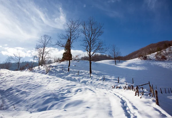 Zimní krajina se sněhem — Stock fotografie