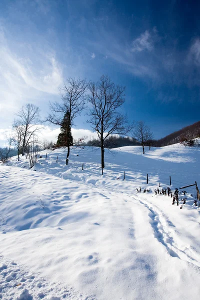 Paisagem de inverno com neve — Fotografia de Stock