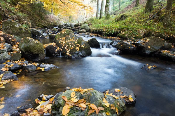 Deep forest Waterfall Autumn — Stock Photo, Image