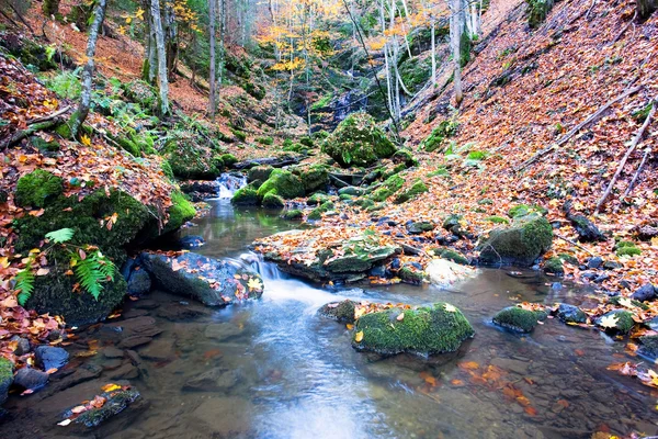 Deep forest Waterfall Autumn — Stock Photo, Image