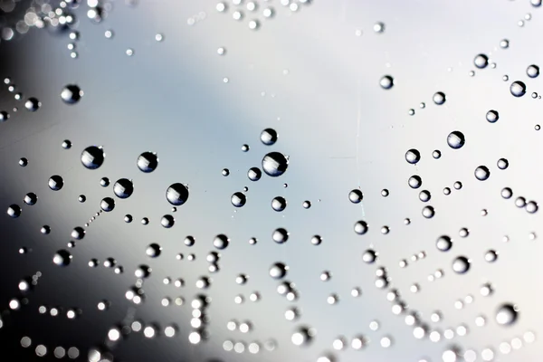 Fondo natural con una tela de araña y gotas — Foto de Stock