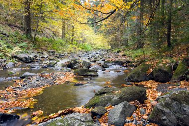 derin orman şelale sonbahar