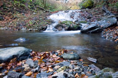 derin orman şelale sonbahar