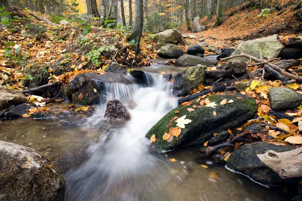 Hluboký lesní vodopád podzim — Stock fotografie