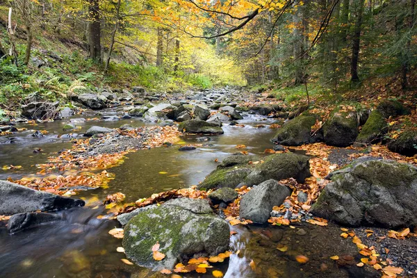 Diepe woud waterval herfst — Stockfoto