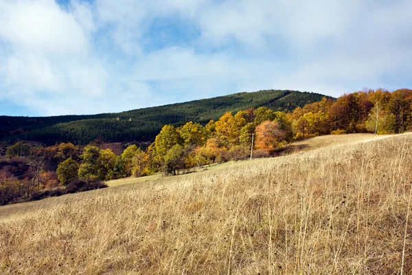 Prachtig landschap — Stockfoto