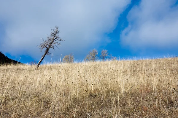 Landscape the mountain — Stock Photo, Image