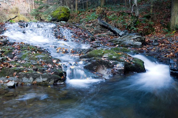 Djupa skogen vattenfall hösten — Stockfoto