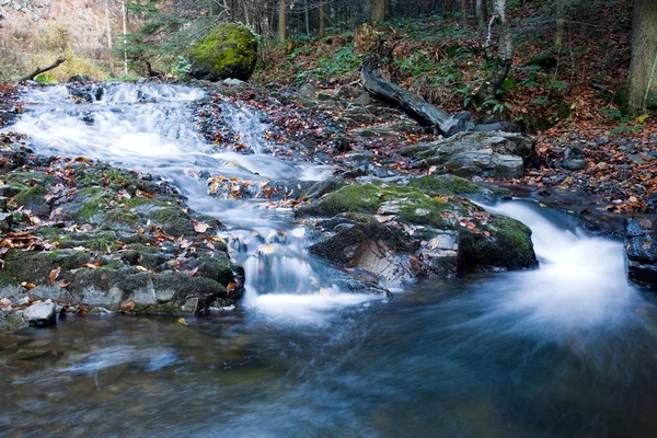 Diepe woud waterval herfst — Stockfoto