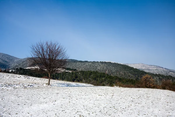 Las montañas de invierno — Foto de Stock