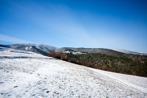 Prachtig winterlandschap — Stockfoto