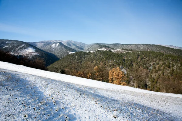 Kaunis talvi maisema — kuvapankkivalokuva