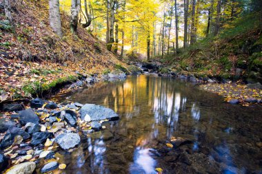 derin orman şelale sonbahar