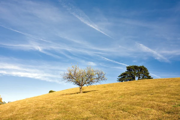 Bellissimo paesaggio — Foto Stock