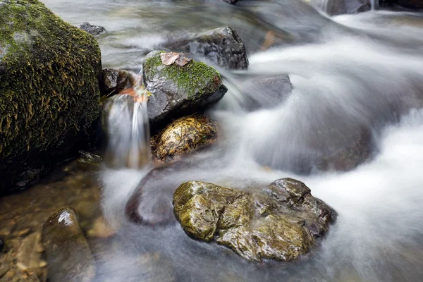 Gebirgsbach — Stockfoto