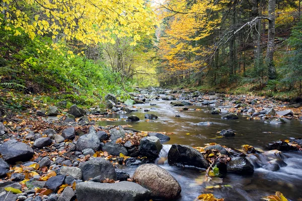 Cascade falls over mossy rocks — Stock Photo, Image