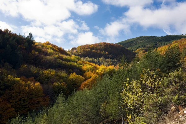 Vue du paysage montagneux — Photo