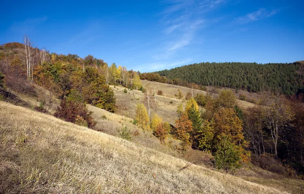 Vue du paysage montagneux — Photo