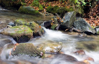 Şelale yosunlu kayaların üzerine düşüyor