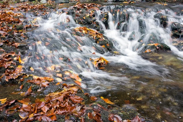 Belle vue sur la rivière — Photo