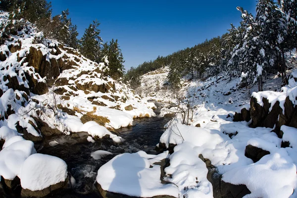 Winter-Bergfluss — Stockfoto