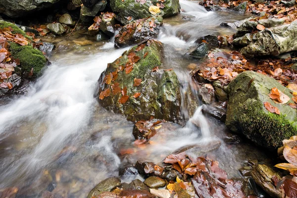 View the river — Stock Photo, Image