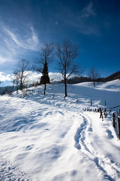 Paisaje invierno — Foto de Stock